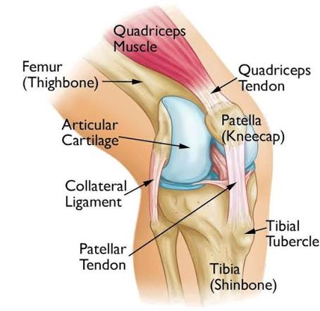 Patellofemoral Pain Syndrome